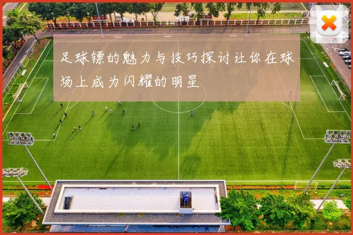 足球镖的魅力与技巧探讨让你在球场上成为闪耀的明星