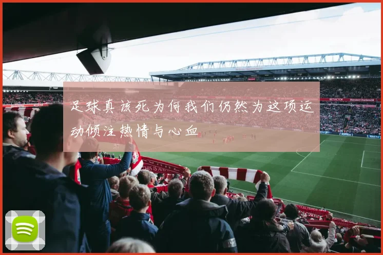 足球真该死为何我们仍然为这项运动倾注热情与心血